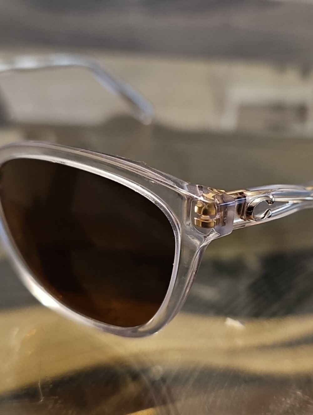 Clear Frame Coach Glasses
